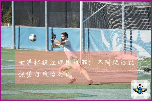 世界杯投注规则详解：不同玩法的优势与风险对比