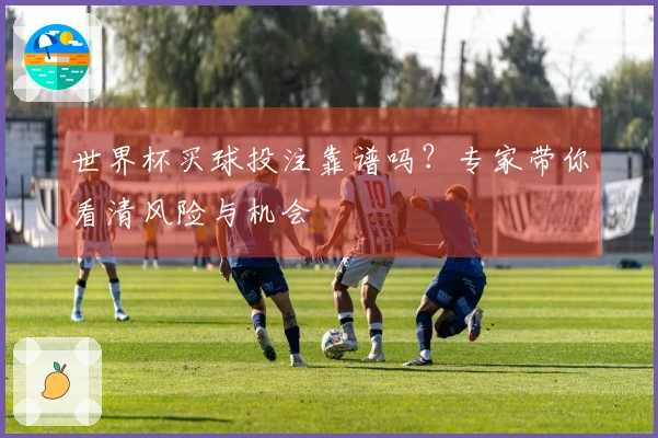 世界杯买球投注靠谱吗？专家带你看清风险与机会